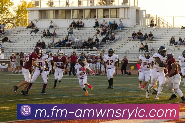 威尼斯人娱乐网站平台生态图